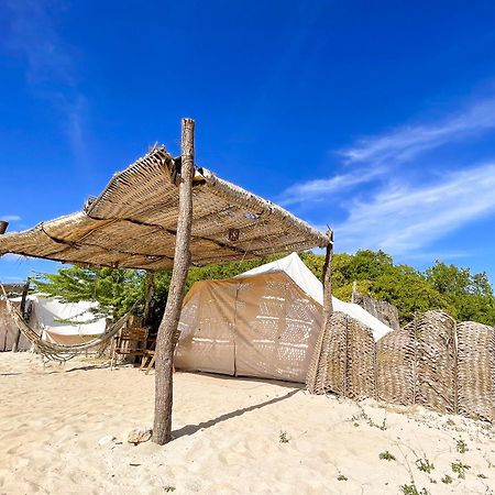 ホテル Eco Del Mar ペデルナレス エクステリア 写真