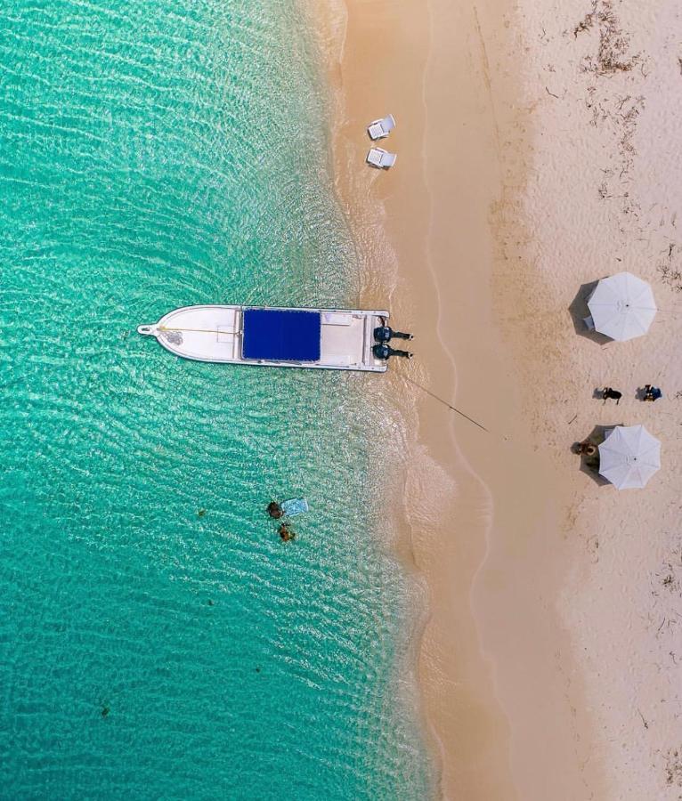ホテル Eco Del Mar ペデルナレス エクステリア 写真