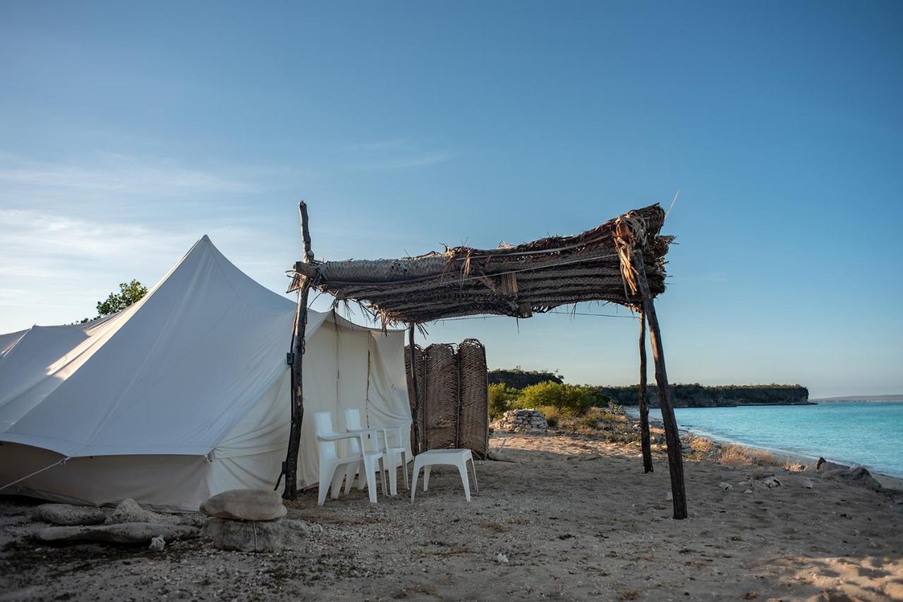 ホテル Eco Del Mar ペデルナレス エクステリア 写真