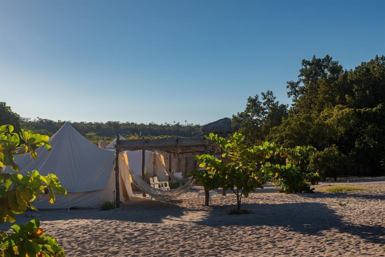 ホテル Eco Del Mar ペデルナレス エクステリア 写真