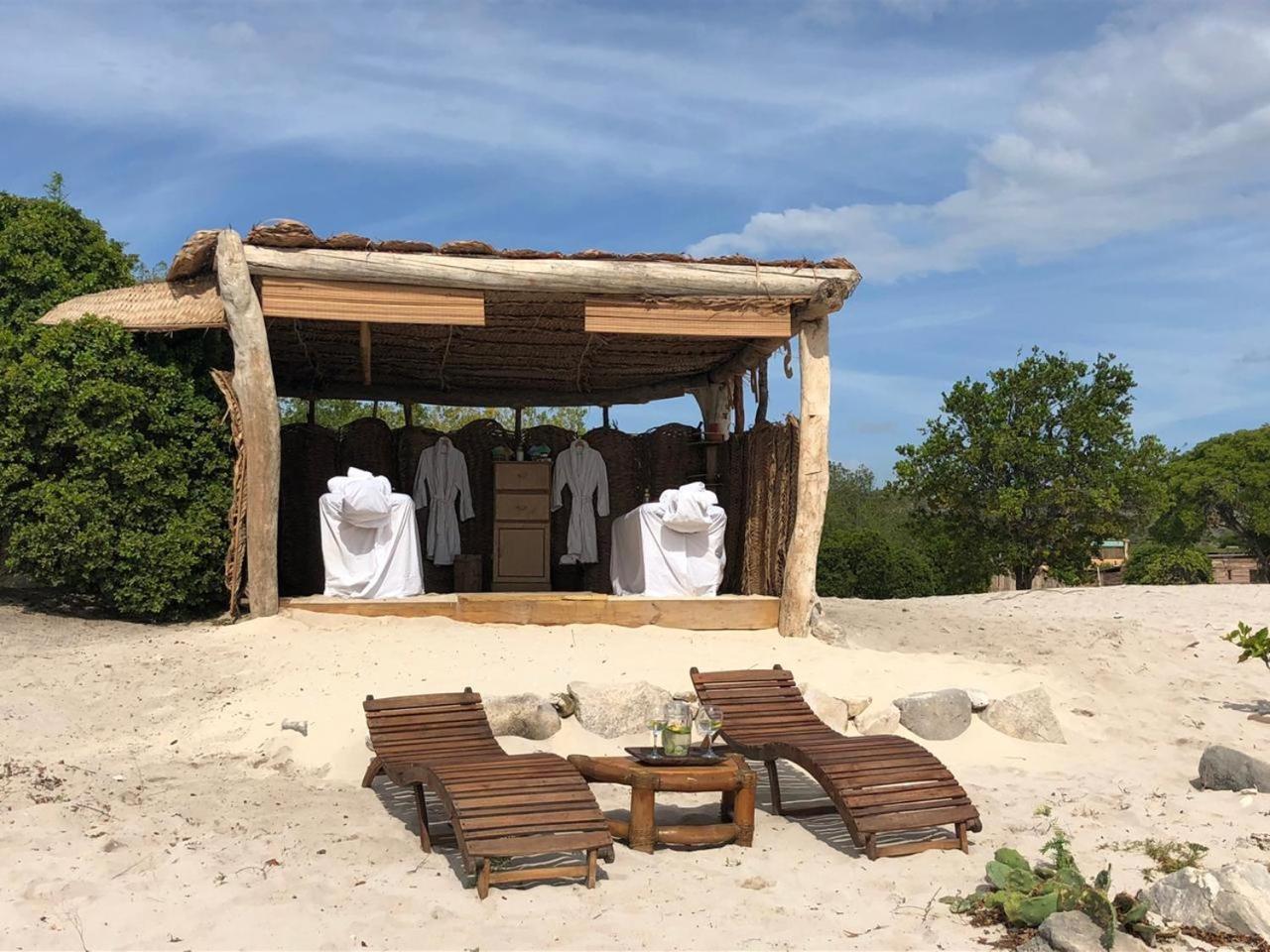 ホテル Eco Del Mar ペデルナレス エクステリア 写真