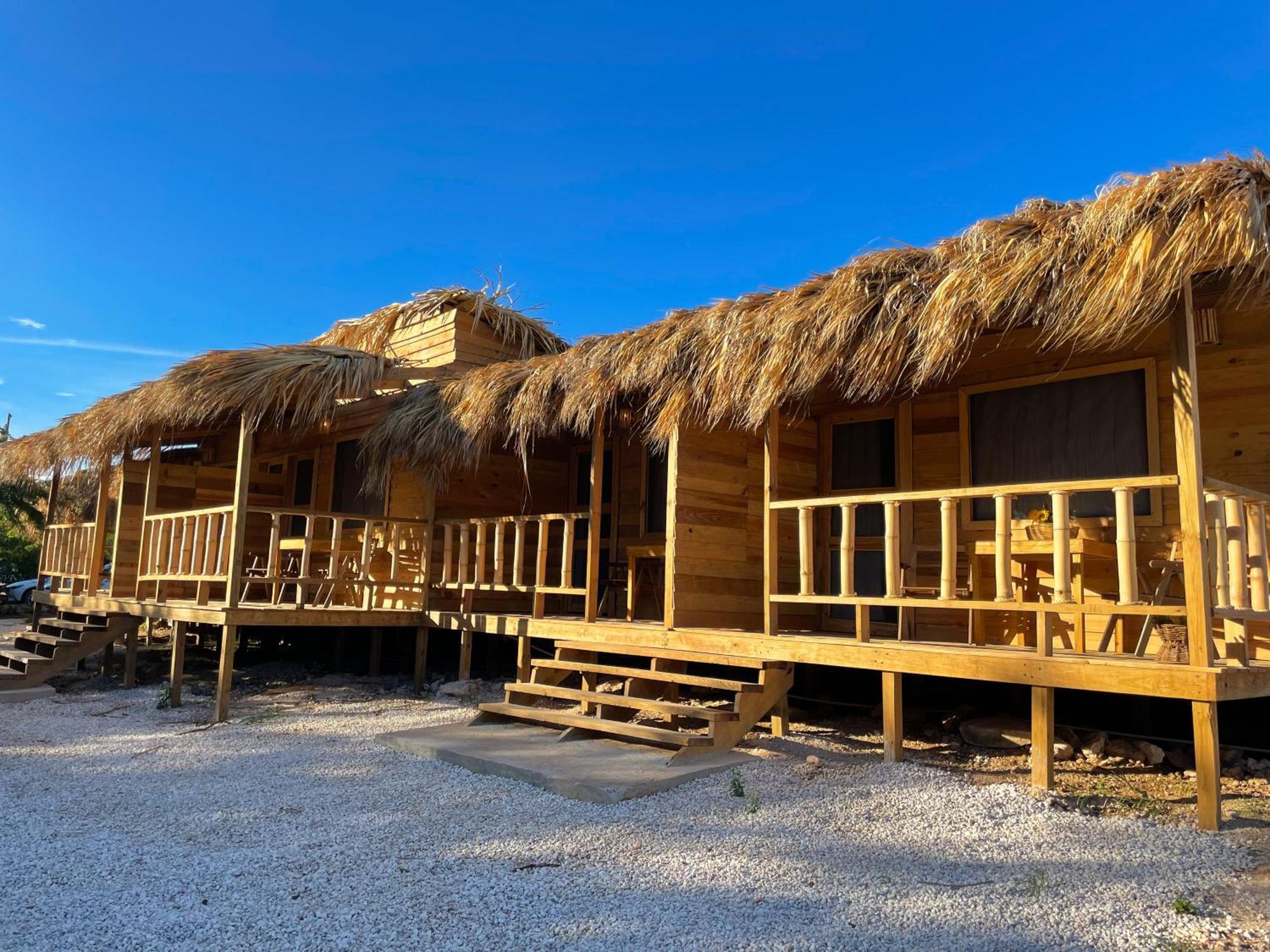 ホテル Eco Del Mar ペデルナレス エクステリア 写真