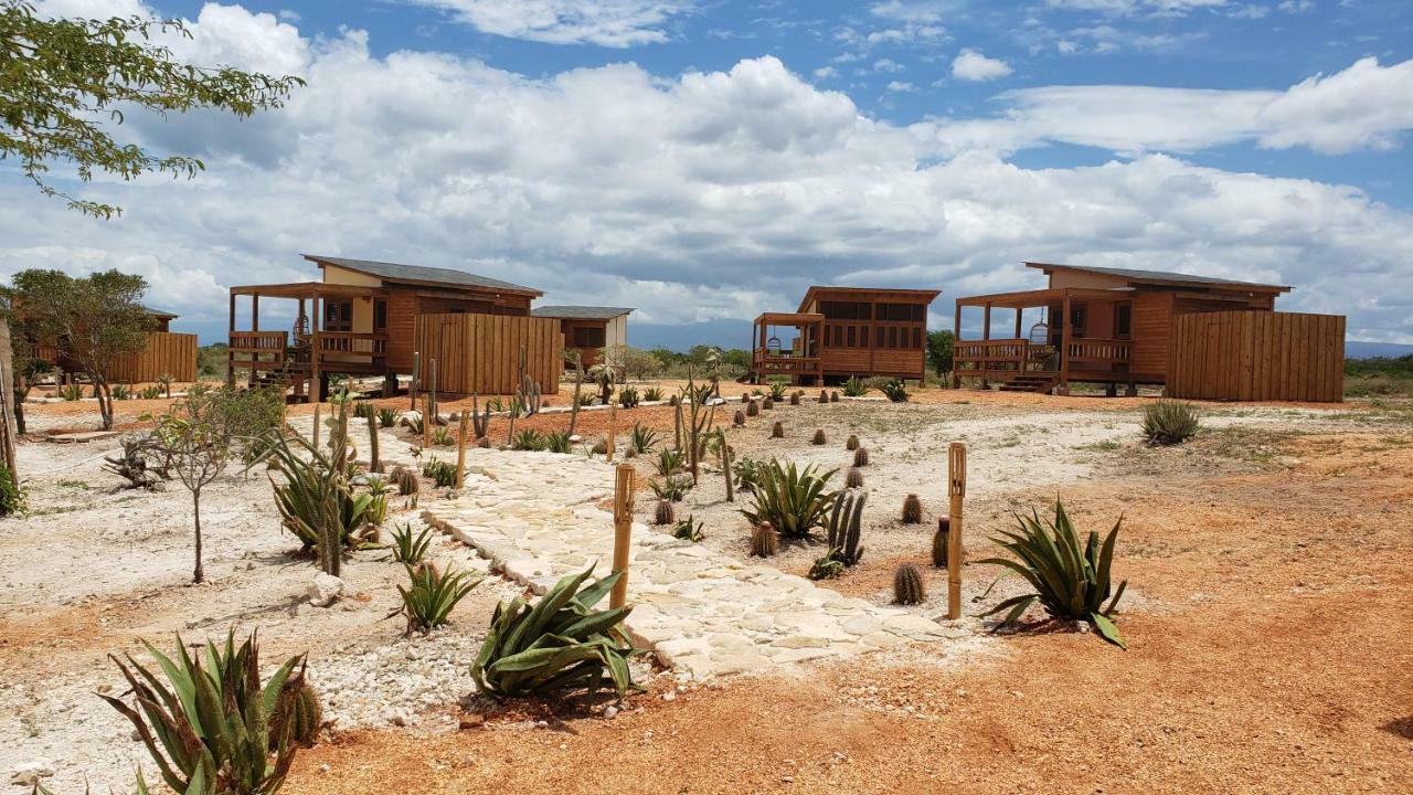 ホテル Eco Del Mar ペデルナレス エクステリア 写真